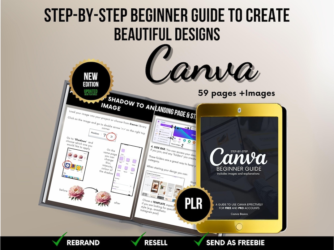 Beginner Guide to Designing in Canva, Guide to Design From Scratch ...