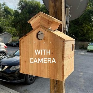 Cedar Squirrel Mansion Nesting Box With Camera