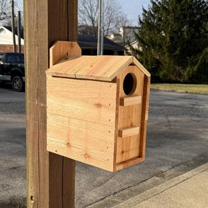 Extra Large Cedar Dual Compartments Squirrel Nesting Box With Inside Predator Guard