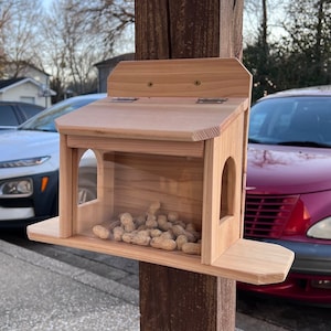 Enjoy Your Backyard More With Entertaining Large Cedar Squirrel/Bird Dual Access Feeder