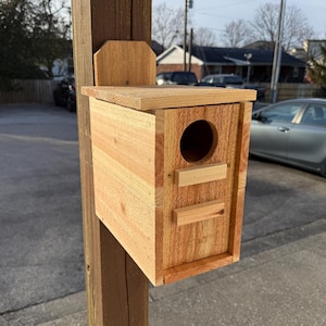Extra Large Cedar Open Squirrel Nesting Box With Inside Predator Guard