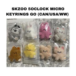 Officiële Stray Kids SKZOO X SKZ 5 uur micropluche sleutelhangers
