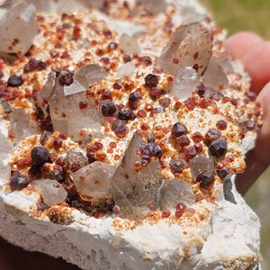 2lb Spessartine garnets on Smoky Quartz, Tongbei, Fujian Province