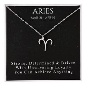 Zodiac Sign Necklace: Stainless Steel Constellation Pendant with Keepsake Card