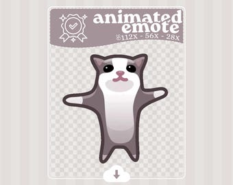Meme del gato saltarín · Emote animado · Twitch · Discord
