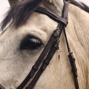 May include: Close-up of a horse's eye and a dark brown leather bridle. The bridle has multiple straps and buckles, with a small gold charm and a purple lightning bolt charm hanging from it. The horse's coat is light gray.