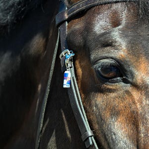 RedBull Bridle Charm