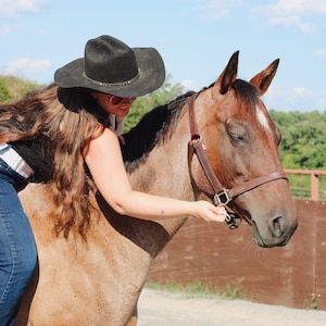 May include: A brown horse with a dark mane and a brown leather halter, featuring a white blaze on its forehead. The horse is being held by a person wearing a black cowboy hat, a black top, and blue jeans, who is leaning against the horse's neck.