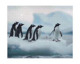 以下が含まれることがあります： 5羽の白黒のペンギンが青い海の白い氷山の上に立っています。ペンギンたちはそれぞれ違う方向を見ていて、1羽のペンギンが他のペンギンたちの前に立っています。