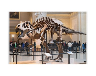 T Rex Skeleton in Museum
