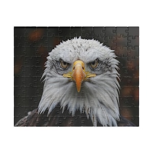 Puzzle pygargue à tête blanche : casse-tête oiseaux sauvages, activité familiale