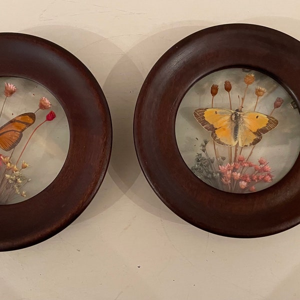 Butterflies art in round wood frame set of 2 pieces/Vintage