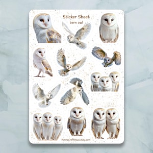 Foglio di adesivi con gufo di fienile - Set di 12 adesivi per diario, pianificatore, scrapbooking e altro ancora