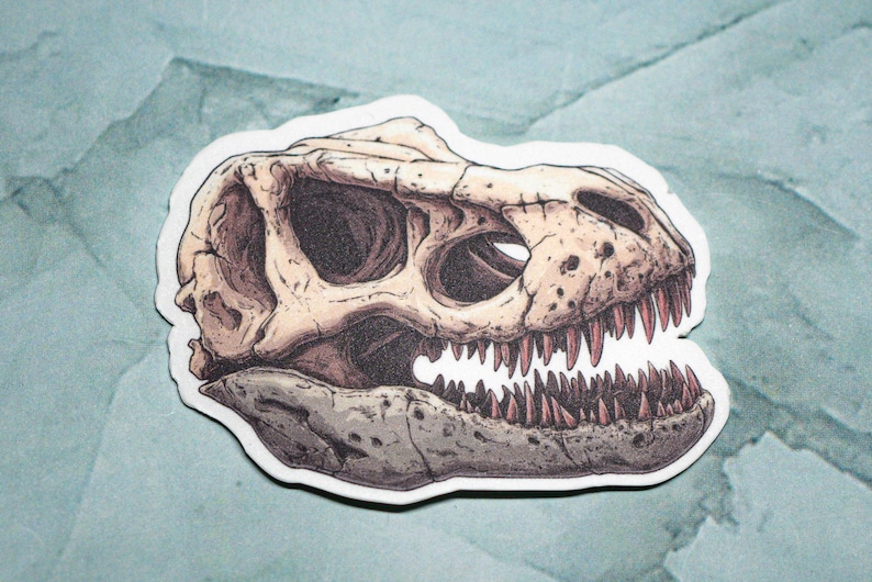 May include: A sticker of a Tyrannosaurus Rex skull with detailed teeth and bone structure. The skull is beige with red teeth and is set against a light blue background.