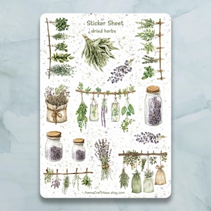 Stickervel gedroogde kruiden: set van 15 stickers voor dagboek, planner, scrapbooking en meer