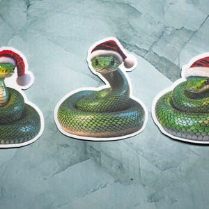 Peut inclure: Trois autocollants de serpent vert avec des chapeaux de Père Noël rouges et blancs. Les serpents sont enroulés en cercle.