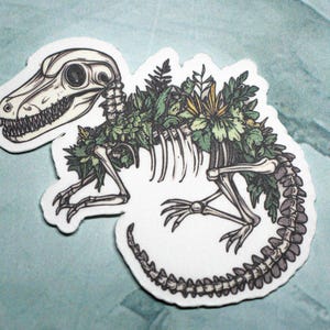 May include: A white sticker with a detailed illustration of a dinosaur skeleton with green foliage growing over the bones. The dinosaur is in a curled position with its tail wrapped around its body.