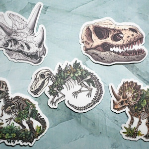 May include: Five dinosaur skeleton stickers with a leafy green design. The stickers feature a triceratops, a tyrannosaurus rex, a stegosaurus, a velociraptor, and a pachycephalosaurus.
