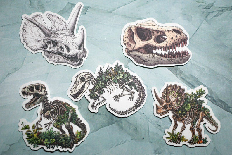 May include: Five dinosaur skeleton stickers with a leafy green design. The stickers feature a triceratops, a tyrannosaurus rex, a stegosaurus, a velociraptor, and a pachycephalosaurus.
