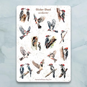 Folha de adesivos de pica-pau - Conjunto de 15 adesivos para diário, planejador, scrapbooking e muito mais
