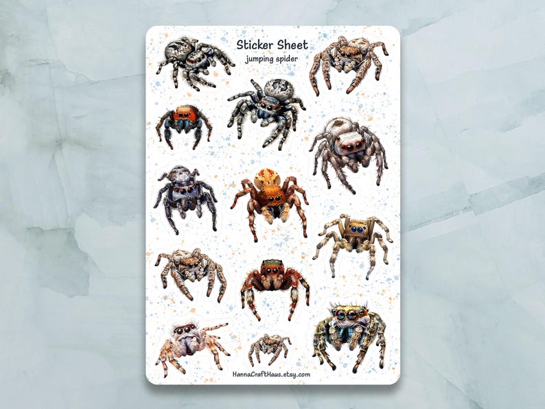 Jumping Spider Sticker Sticker Sheet - Set of 12 Stickers for Journal ...