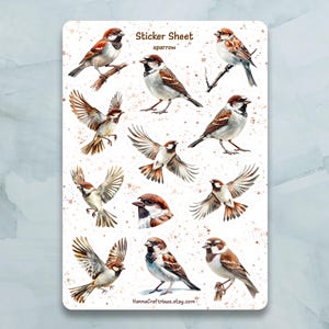 Foglio di adesivi Sparrow Bird - Set di 12 adesivi per diario, pianificatore, scrapbooking e altro ancora