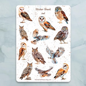 Feuille d'autocollants hibou - Lot de 12 autocollants pour journal, agenda, scrapbooking et plus