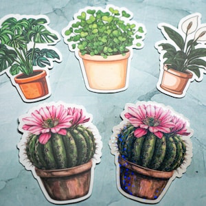 Adesivo Haus Plants - Adesivo in vinile - Adesivi per diario, planner, scrapbooking e altro ancora