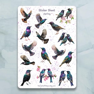 Feuille d'autocollants pour oiseau sansonnet - Lot de 15 autocollants pour journal, agenda, scrapbooking et plus