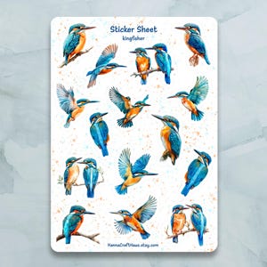 Foglio di adesivi con uccelli martin pescatore - Set di 15 adesivi per diario, pianificatore, scrapbooking e altro ancora
