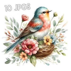 10 Floral Bird Clipart JPGs | Watercolor Birds and Blossoms | Vintage Printable Art for Crafts, Journals & Cards | Digital Download