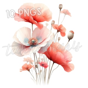Poppy Clipart Bundle | 10 Watercolor Poppies PNG | Floral Wall Art & Printables | Digital Download for Crafts, Cards, Junk Journals