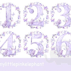 Butterfly Birthday Clipart PNG Butterflies Cute 1-0 Full Number Set Image Iron On Sublimation Crafting Card UVDTF DTG Transparent Download