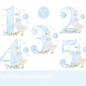 Pode incluir: Ilustrações em aquarela dos números de 1 a 5, cada um em azul claro com efeito aquarela. Cada número apresenta um ganso branco com chapéu de festa e laço, segurando um balão azul. Acentos florais na base de cada número.