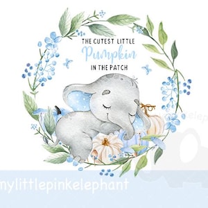May include: A watercolour illustration of a sleeping baby elephant with blue polka dot details, surrounded by pumpkins and blue flowers. The text reads "The Cutest Little Pumpkin in the Patch". A floral wreath frames the elephant.