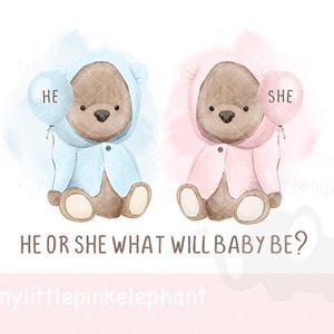 Pink & Blue Teddy Bear PNG, Gender Reveal Girl or Boy What Will Baby Be? Pink Blue Bears, Instant Digital Download, Sublimation Design