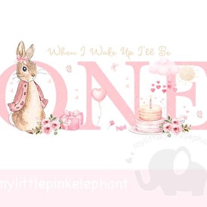 Ein Peter Rabbit Pink 1. Geburtstag PNG, alles Gute zum Geburtstag Sublimationsdesign, erster Geburtstag Flopsie Bunny Design, sofortiger Download