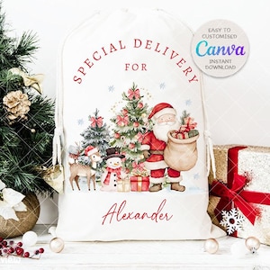 May include: White Christmas gift bag with a drawstring closure. The bag features a festive illustration of Santa Claus, a snowman, and a reindeer. Text on the bag reads "Special Delivery For Alexander". A small Christmas tree and wrapped gifts are also visible.