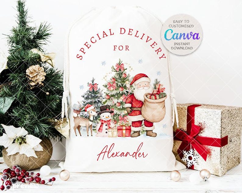 May include: White Christmas gift bag with a drawstring closure. The bag features a festive illustration of Santa Claus, a snowman, and a reindeer. Text on the bag reads "Special Delivery For Alexander". A small Christmas tree and wrapped gifts are also visible.