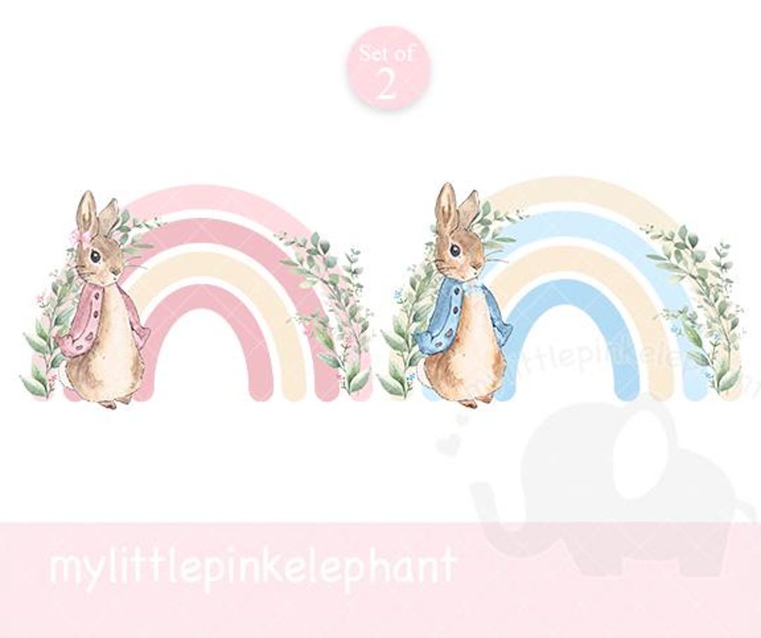 Set of 2 - Peter Rabbit With Rainbow - Rainbow Bunny - PNG File ...