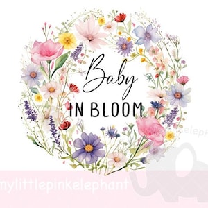 Bebé en flor, diseño de sublimación, camiseta de embarazo, baby shower, cartel de bienvenida, descarga digital instantánea