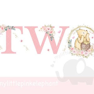 Puede incluir: Diseño floral rosa con la palabra "DOS" en letras rosas. Un personaje de Winnie the Pooh sostiene un tarro de miel con la palabra "HUNNY" en él. El diseño está rodeado por un círculo dorado con más flores rosas.
