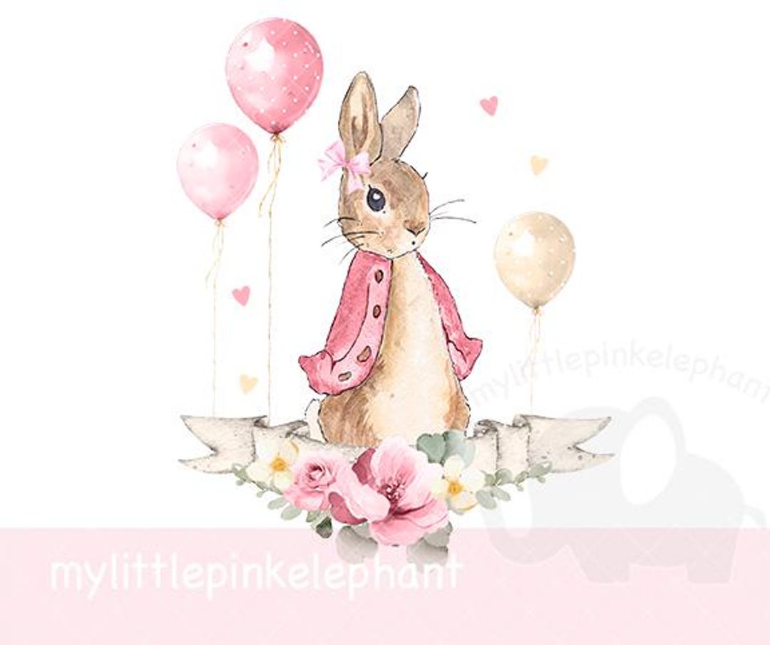 Petr Rabbit Birthday Background Peter Rabbit, Birthday, Pink, Png Download, Transparent Background, 1st ...