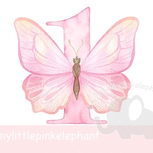 Aquarel roze vlinder nummer 1 PNG, één vlinder sublimatieontwerp, vlinder verjaardagsfeestje decor, vlinderfeest, instant download