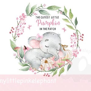 Könnte beinhalten: Aquarell-Illustration eines schlafenden grauen Elefanten mit rosa Ohren und einer rosa Schleife, umgeben von einem floralen Kranz und Kürbissen. Der Text lautet "The Cutest Little Pumpkin in the Patch."