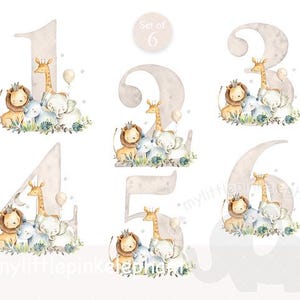 Animali da safari minimalisti per bambini, numeri da 1 a 6 in formato PNG, cuccioli di animali ad acquerello, colore naturale, selvaggio, PNG, biglietto di auguri per compleanno, download istantaneo