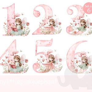 Aquarel Pink Fairy Toadstool Numbers 1-6 bundel PNG, One Fairies sublimatieontwerp, Fairy Birthday Party, Fairy Party, Instant Download