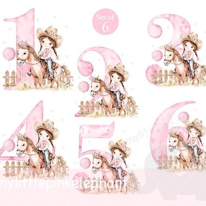 Cowgirl birthday pink numbers 1-6 numbers Birthday PNG, Cowgirl Baby&#39;s girl 1st birthday Tshirt Sublimation, birthday, Instant Digital