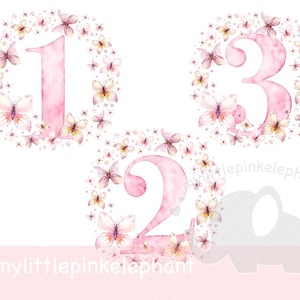Schmetterling Geburtstag Clipart PNG Schmetterlinge Süß 1-0 Volle Nummer Set Bild Aufbügeln Sublimation Crafting Card UVDTF DTG Transparent Download