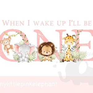Pink Baby Safari Animals Kids PNG, Watercolor Baby Animals, Pink baby girl Wild One PNG, Birthday Card image, Instant Download, T Shirt